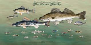 Best Perch for a Family Photo: Tips to Capture Perfect Memories