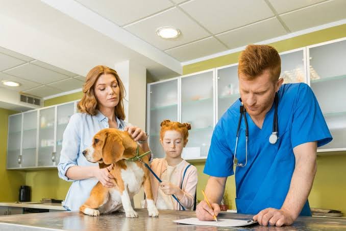 How Veterinary Hospitals Manage