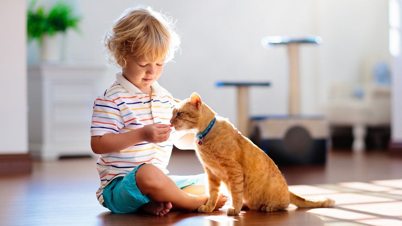 Pediatric Pet Care